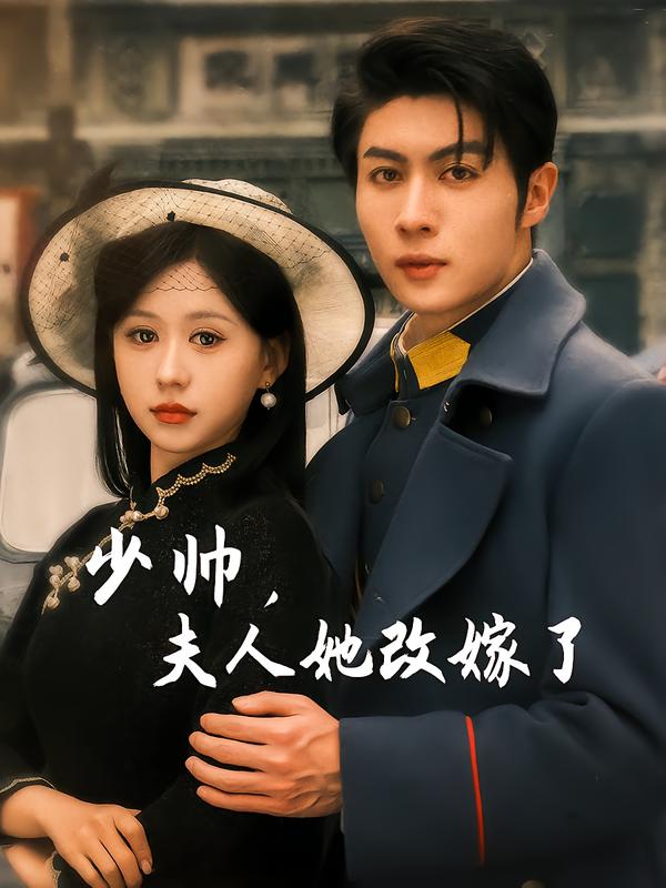 少帅,夫人她改嫁了