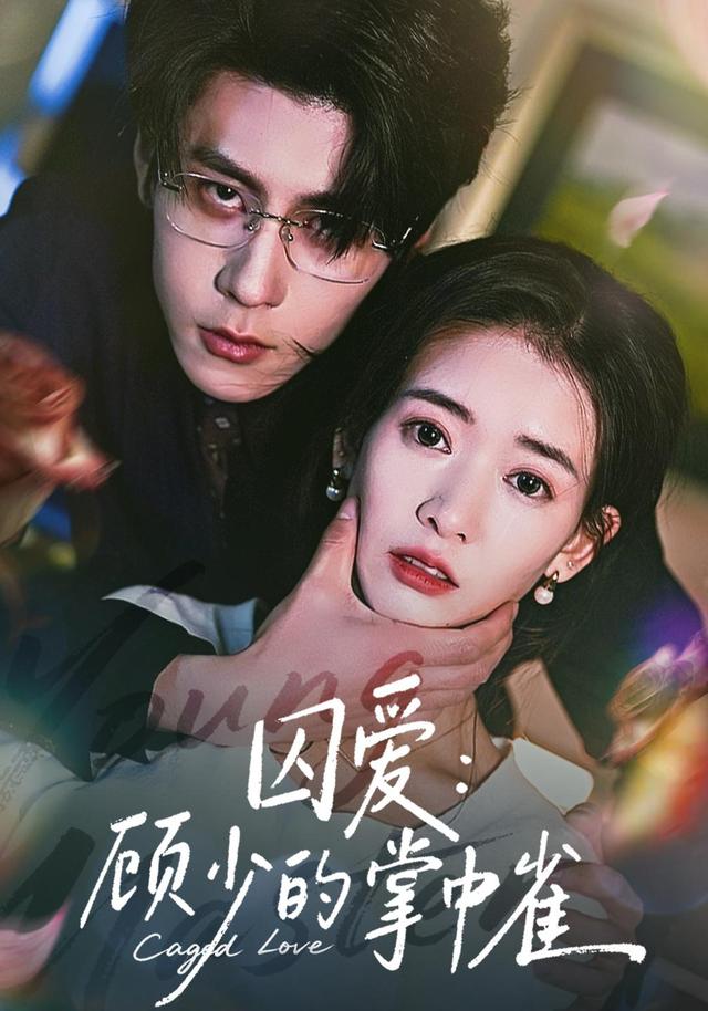 囚爱:顾少的掌中雀