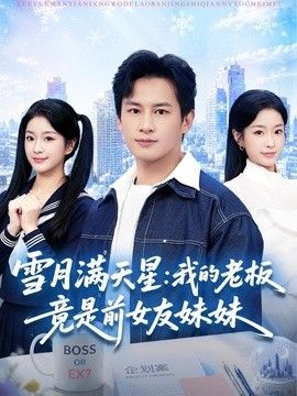雪月满天星:我的老板竟是前女友妹妹
