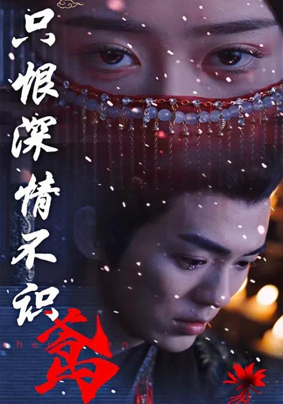 只恨深情不识鸢