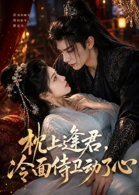 枕上逢君,冷面侍卫动了心