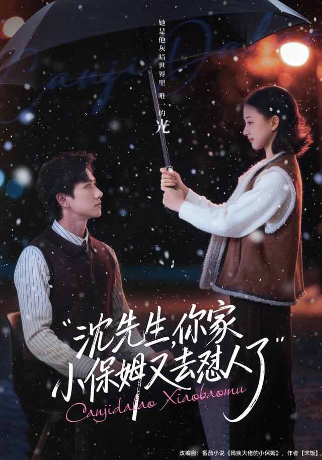 沈先生,你家小保姆又去怼人了