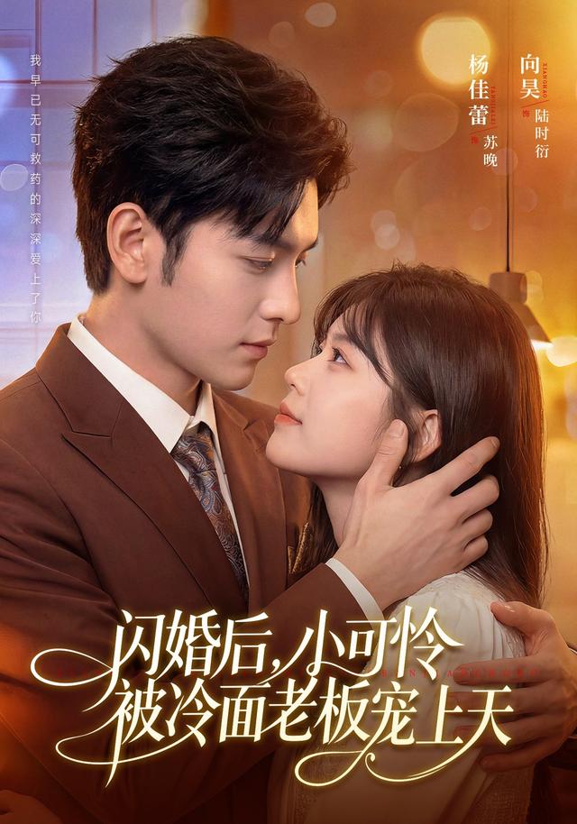闪婚后,小可怜被冷面老板宠上天
