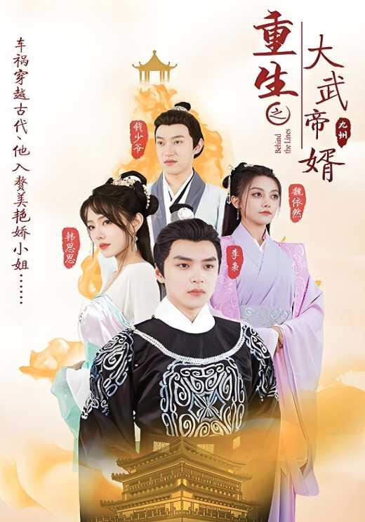重生之大武帝婿