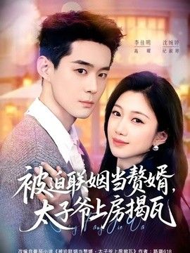 被迫联姻当赘婿,太子爷上房揭瓦