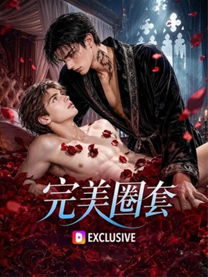 完美圈套