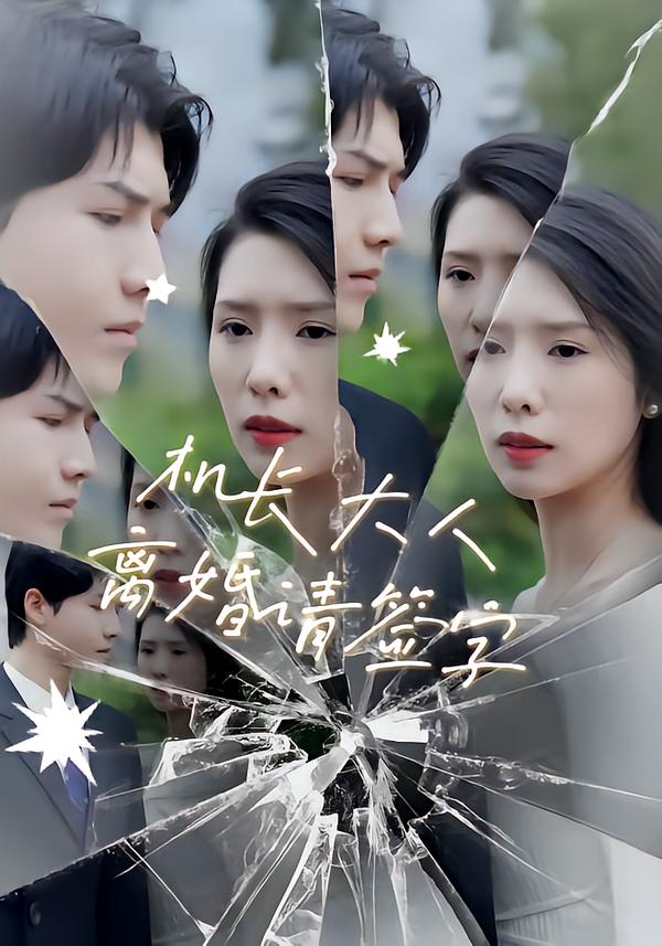 机长大人,离婚请签字