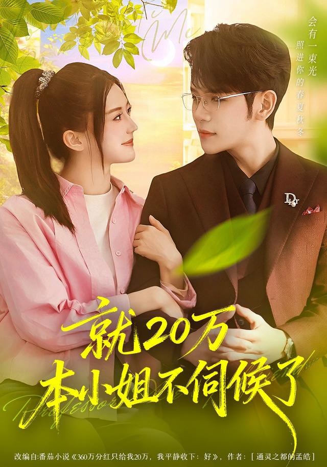 就20万!本小姐不伺候了