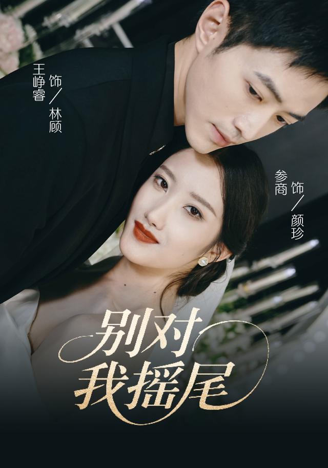别对我摇尾