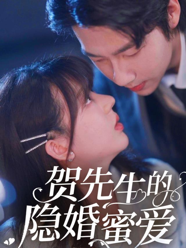 贺先生的隐婚蜜爱