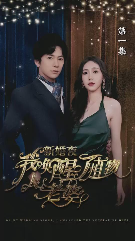 新婚夜,我唤醒了植物人老婆