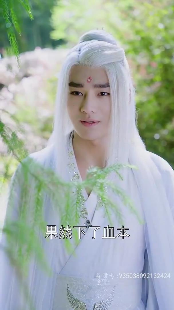 狂草(第一季)